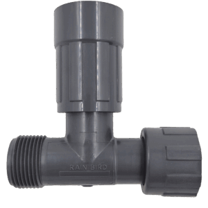 Hollanderes T-idom BM1”